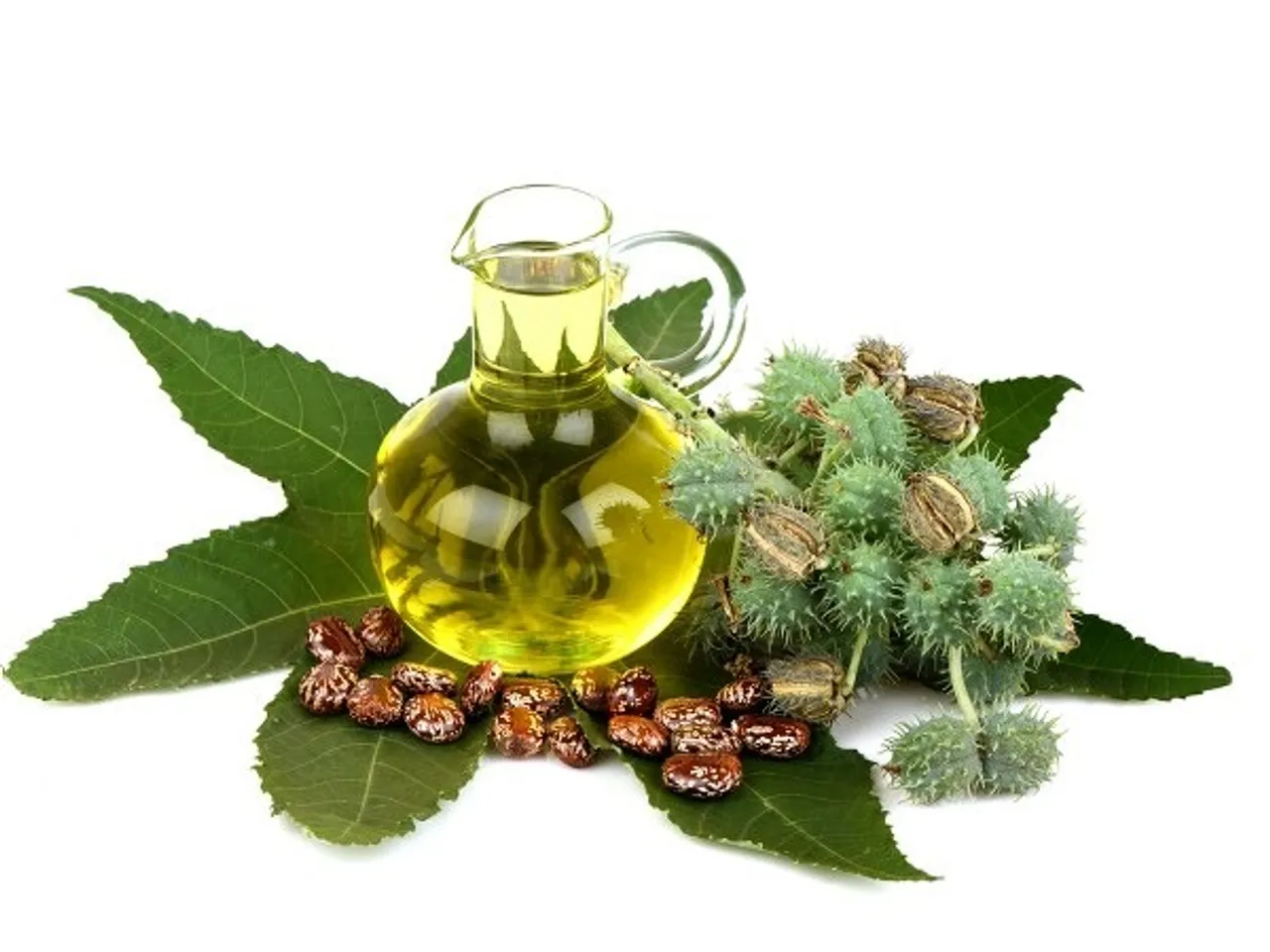 castoroil-1540280866-1602935143