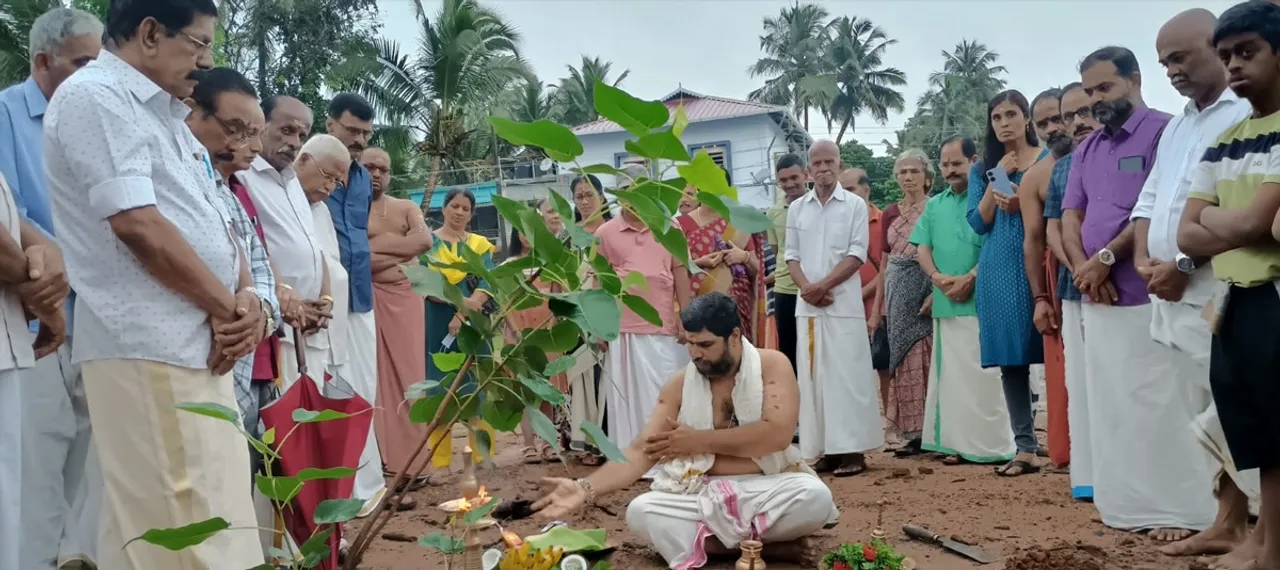 banniyan tree planted