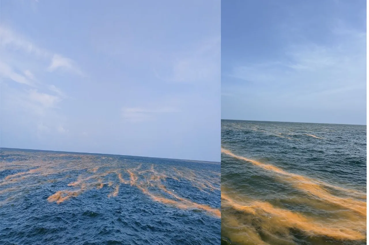 read sea
