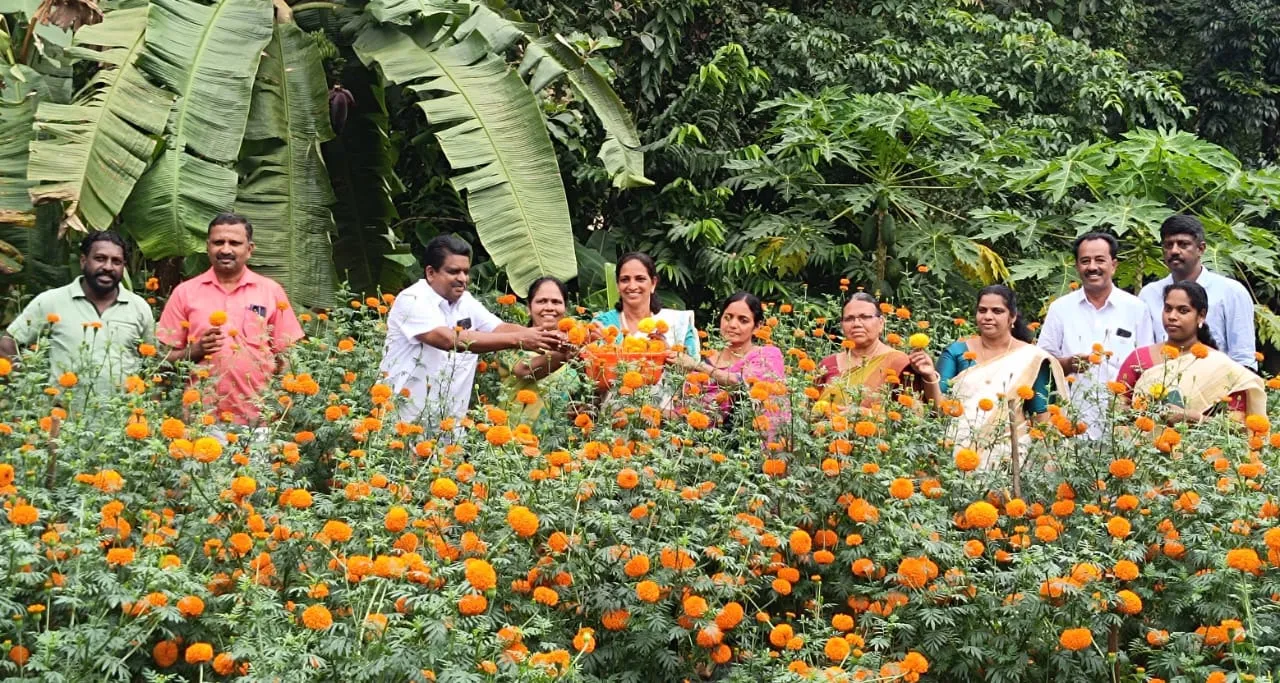 BANDHI KRISHI