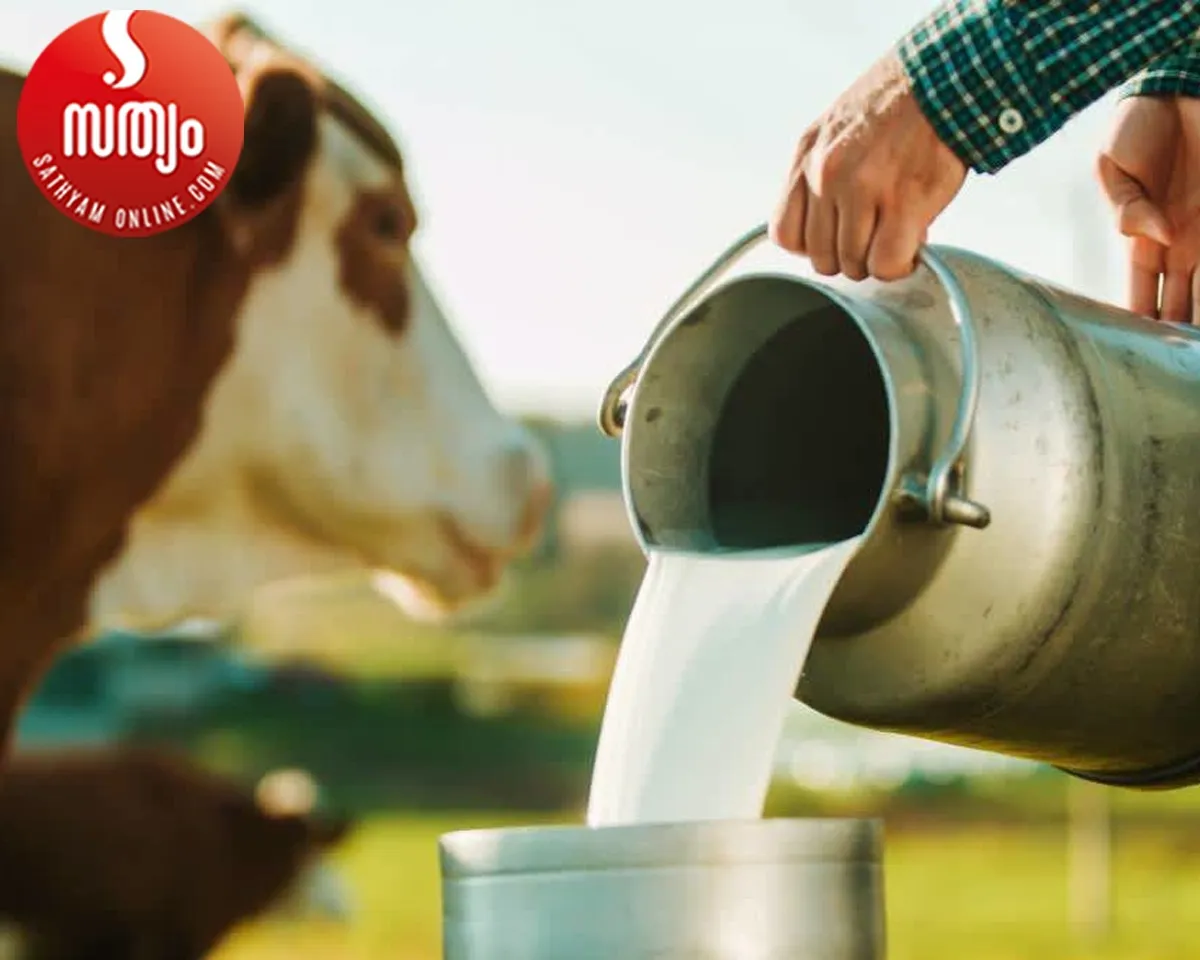 milk price