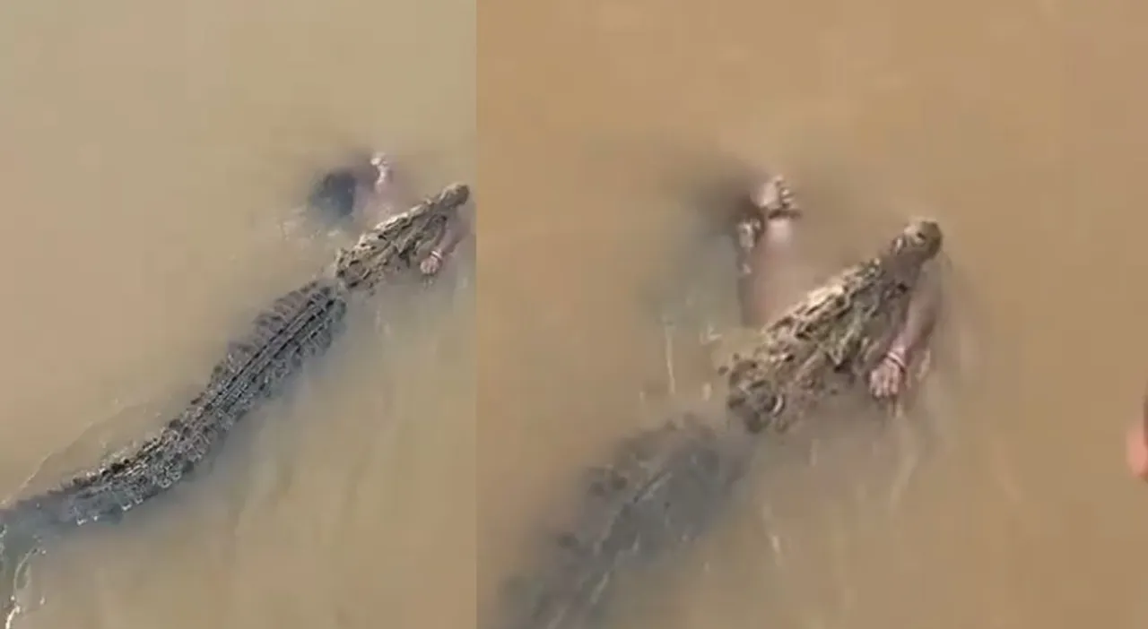 crocodile-catch-jojpur-odisha