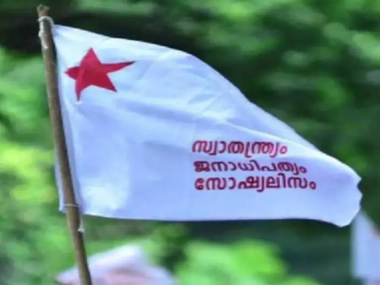 sfi
