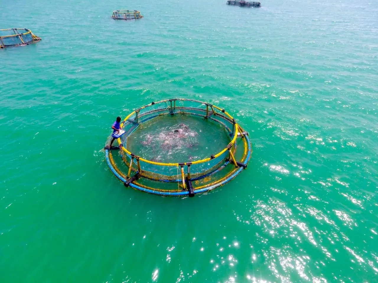 Cage fish farming- Representative Image