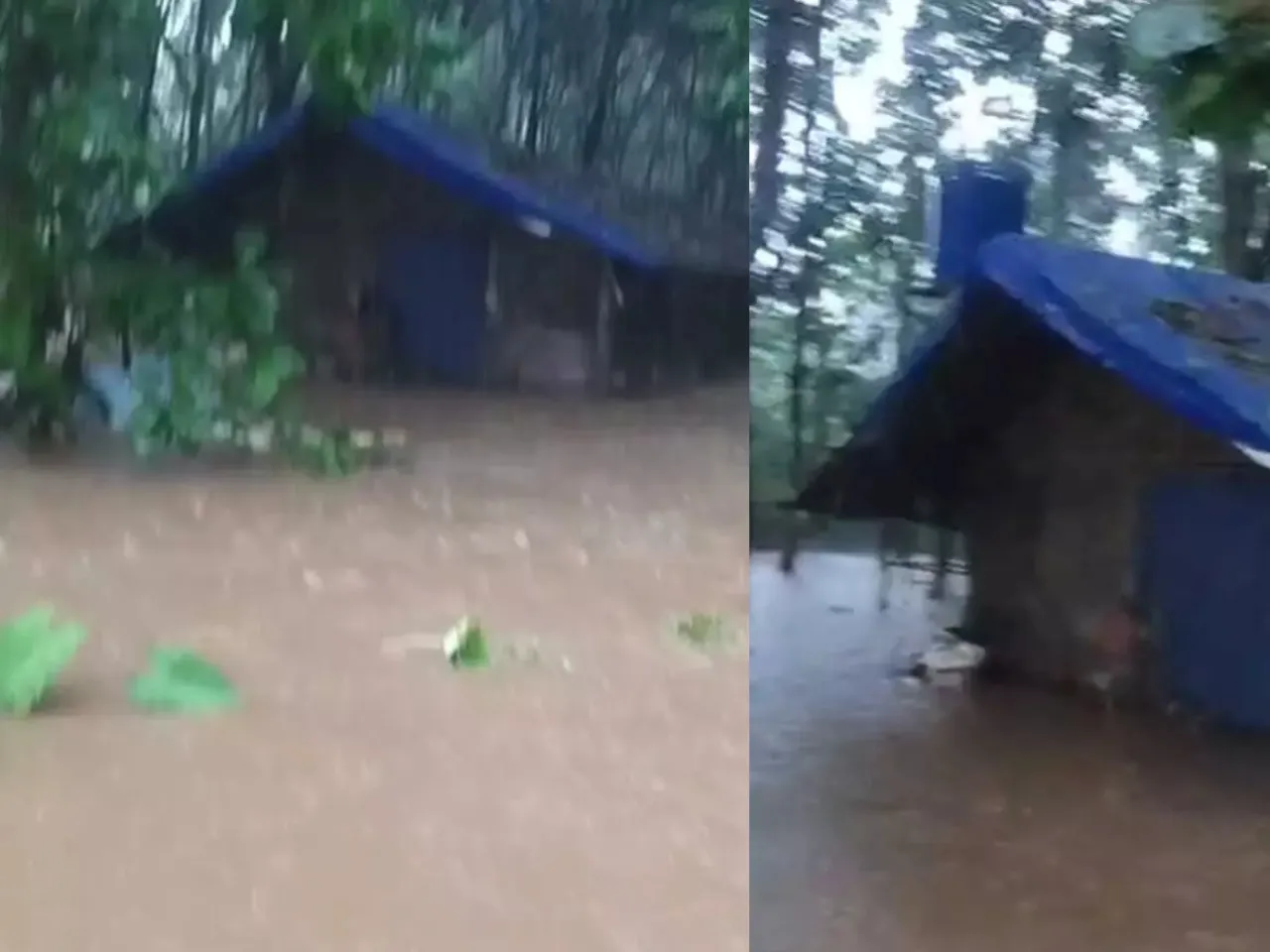 flood chicken farm