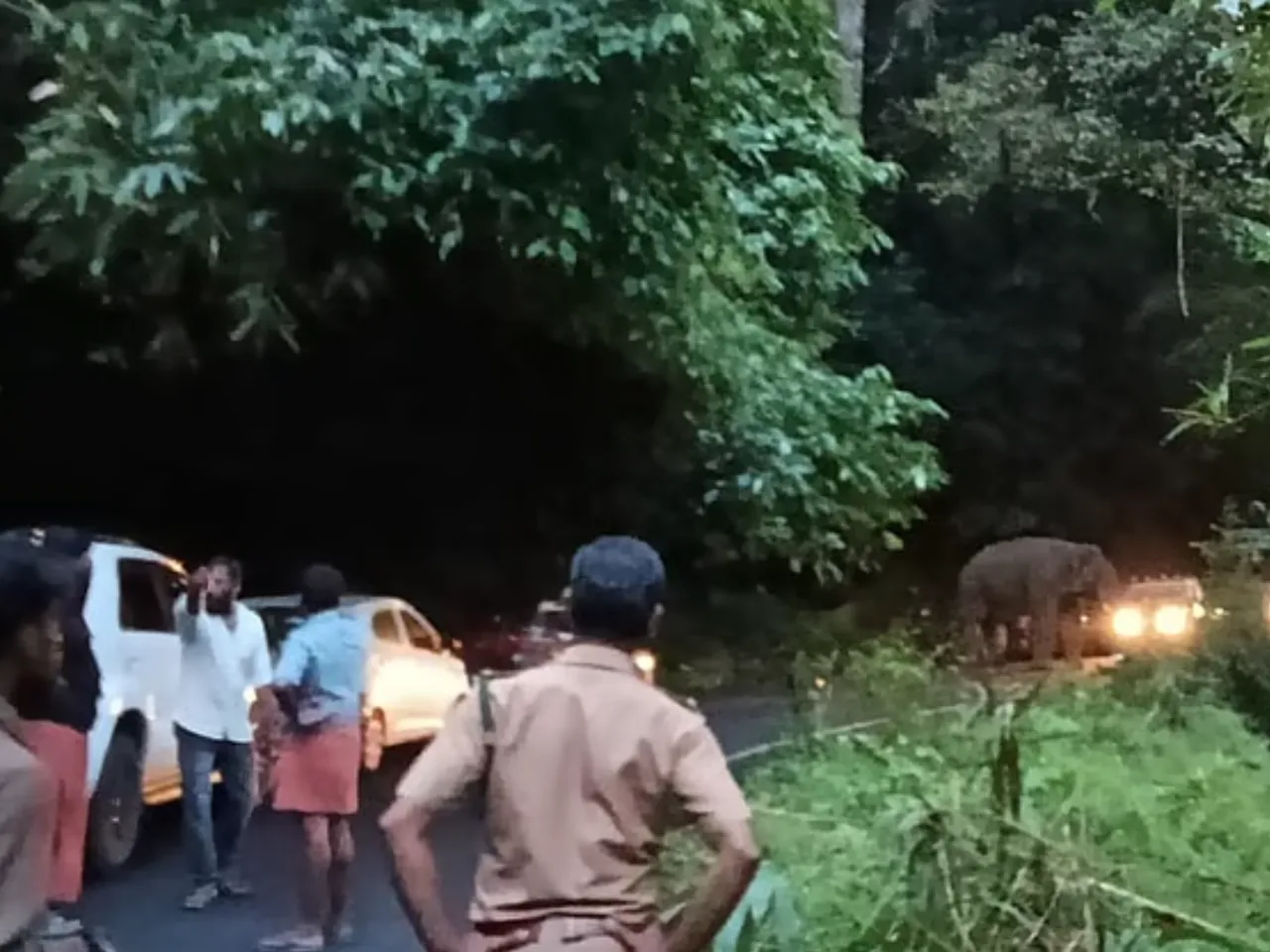 kabali