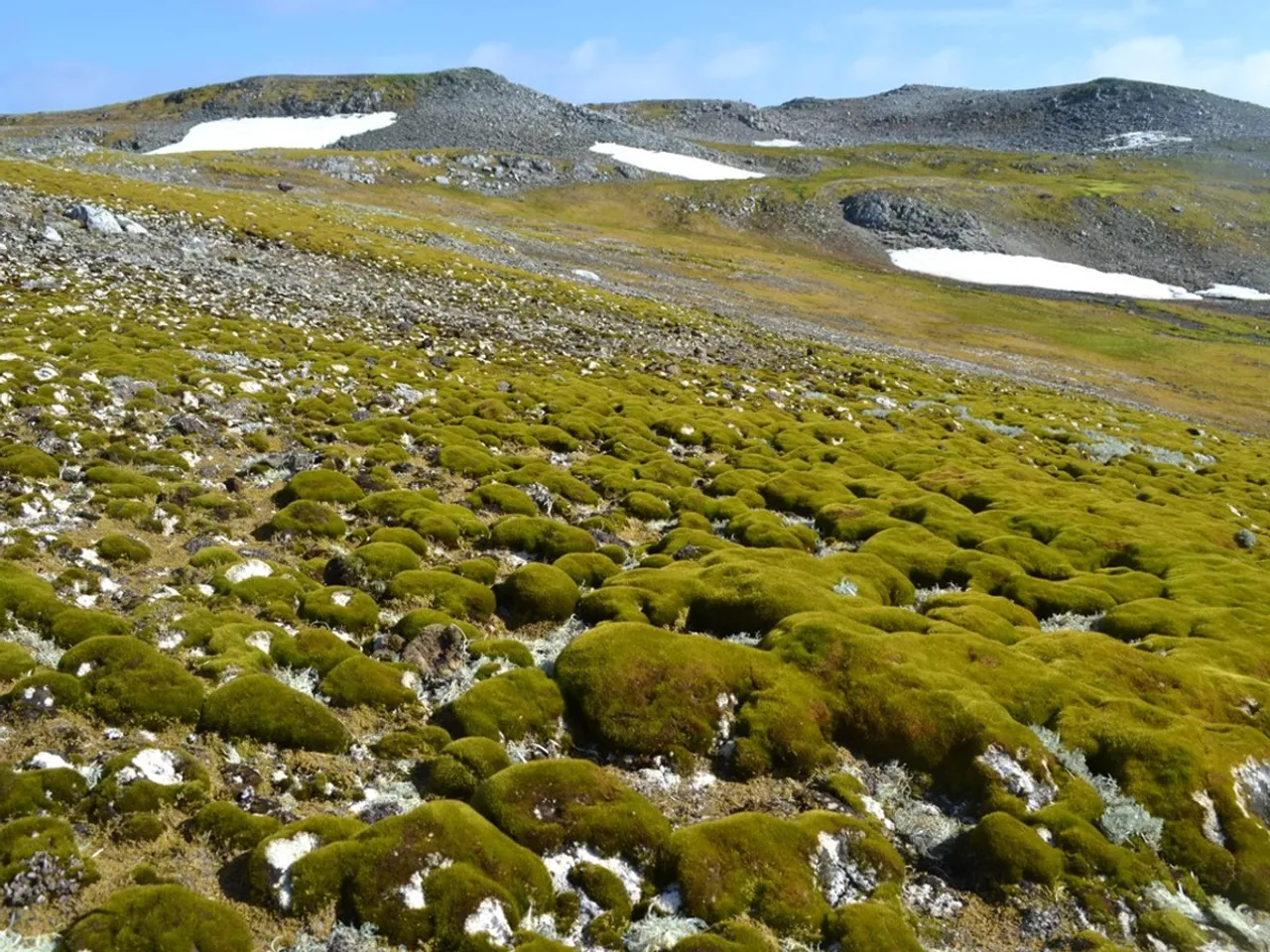 landscape in antartica