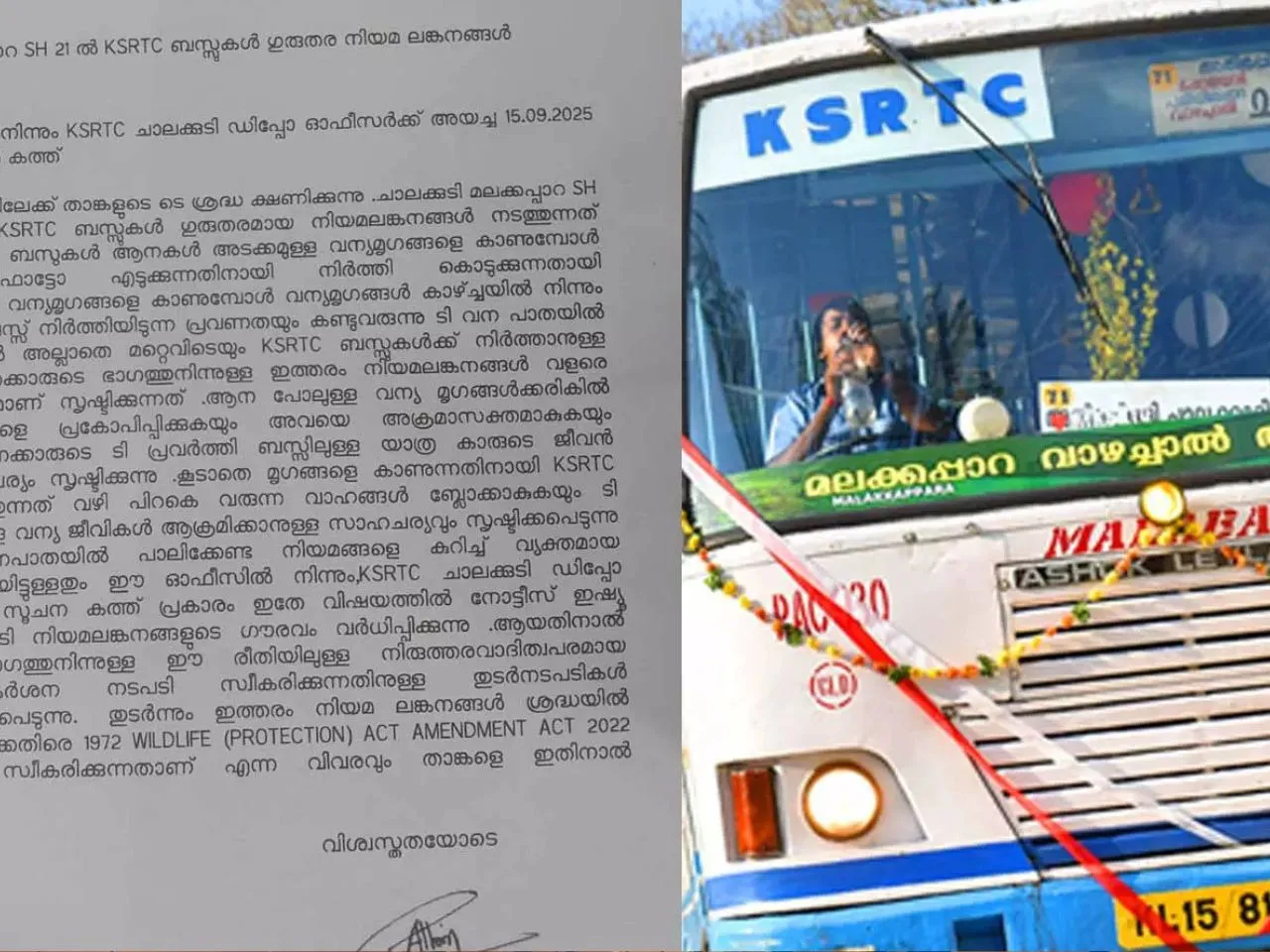 images (1280 x 960 px)(455)