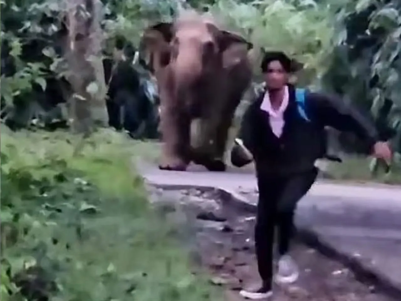 images (1280 x 960 px)(457)