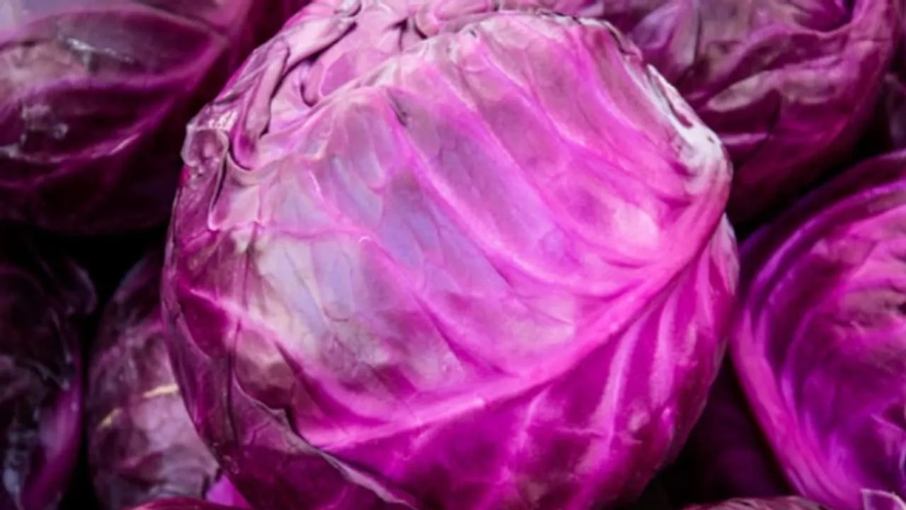 w-1280,h-720,imgid-01gg45psvd9vakaweaqp0z2q61,imgname-fotojet--5-