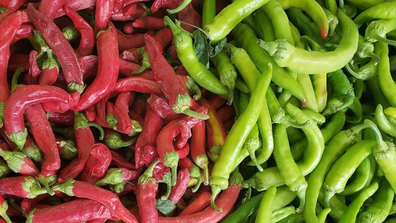 57O4oy6k1Jxxdcmsd6e9