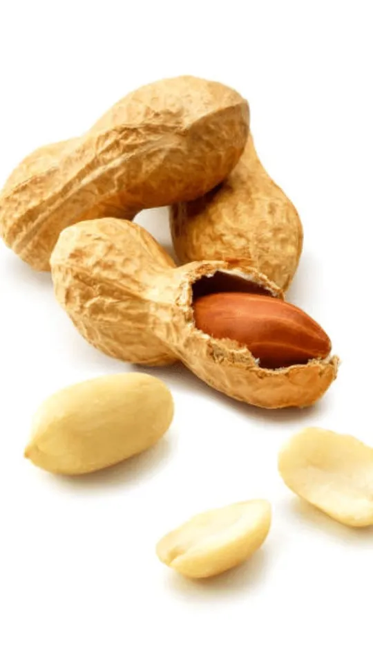 8e4e6599-dde3-4d8e-94a2-65859523b36e