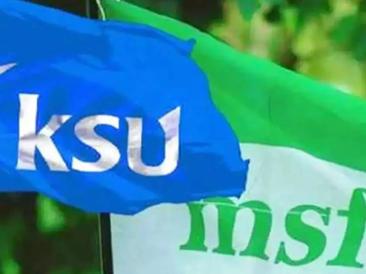 images (1280 x 960 px)(474)