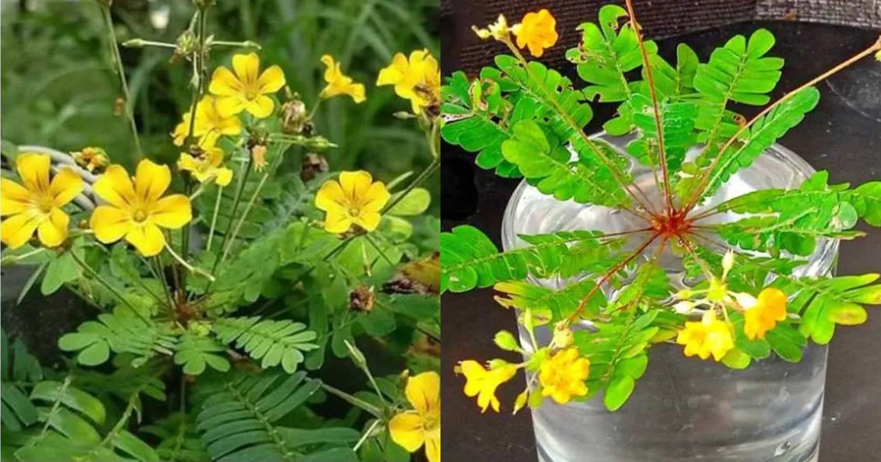 6792043d-aca3-4bad-9ebd-ac22ae99d4ac