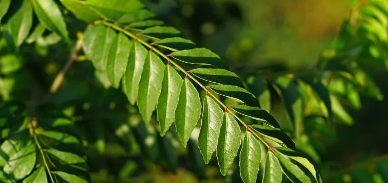 fea101e3-eb0d-4e20-bd14-4dc6bfc7483d