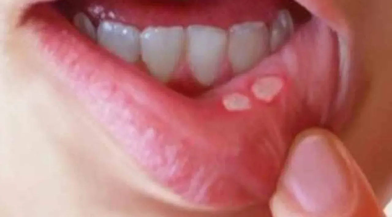 WhatsApp-Image-2022-08-27-at-1.13.51-PM