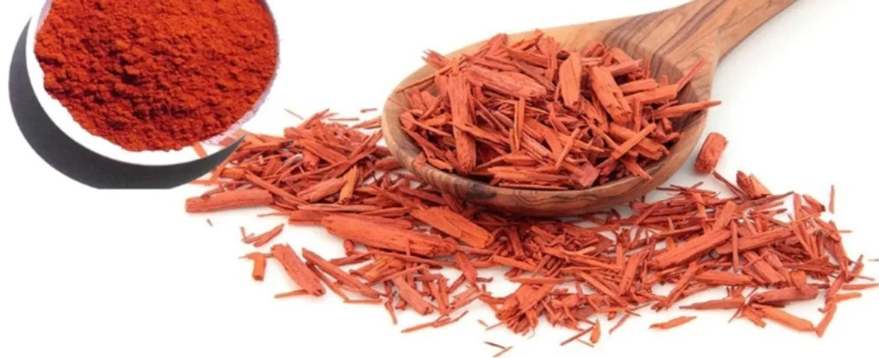 95c673fa-1fb4-4519-8c48-e172caf3db0e