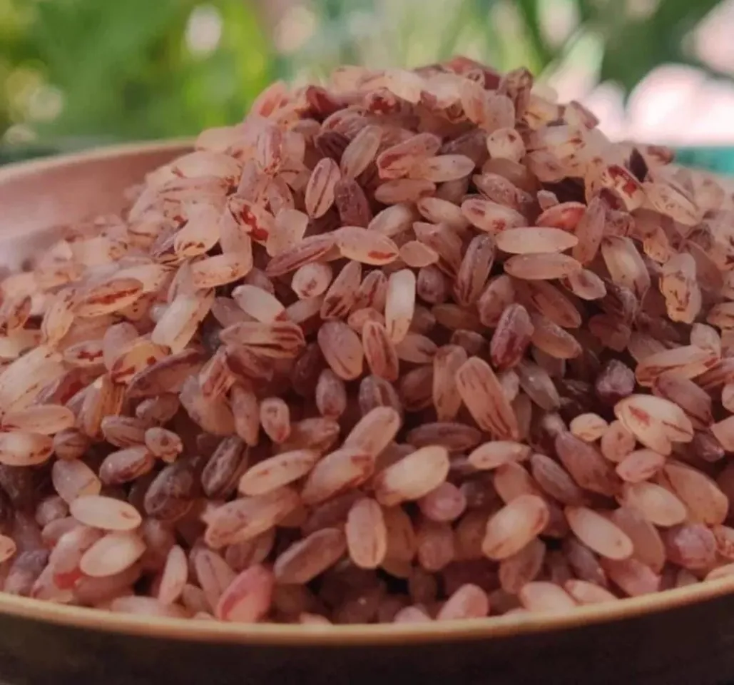 ddbd5a3e-c15f-4ad9-97f1-4973e71302ce