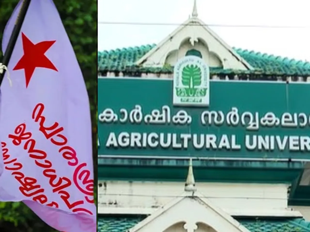 images (1280 x 960 px)(88)