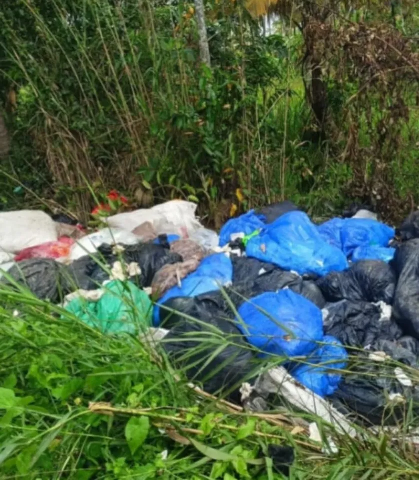 0d459699-ae2a-4033-93a1-2935e8b59b01