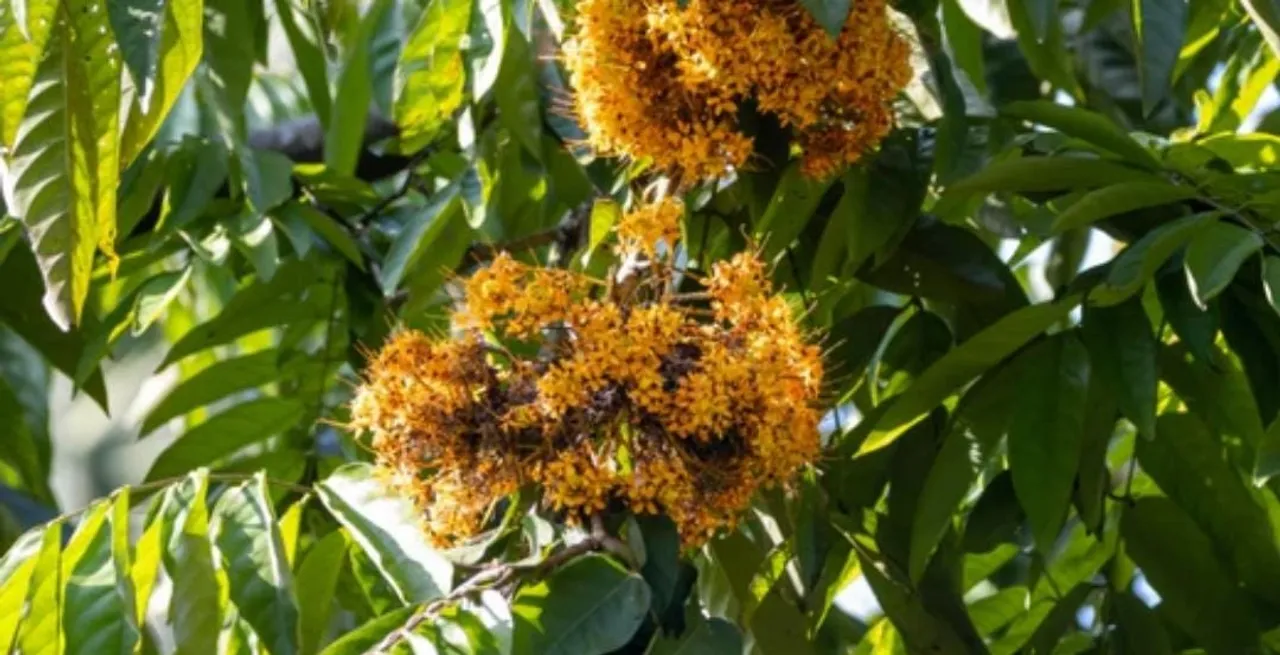 0d575779-f34e-40b3-b77b-72ca7df7186e (1)