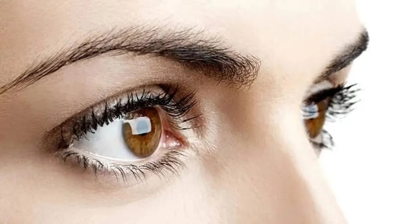 363b73db-6bb7-4882-9bfa-bb355c69a8fc