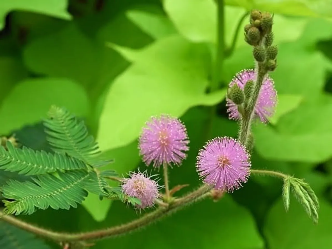 e1a74cec-7cca-4a2e-9bc4-beeac0450cc2