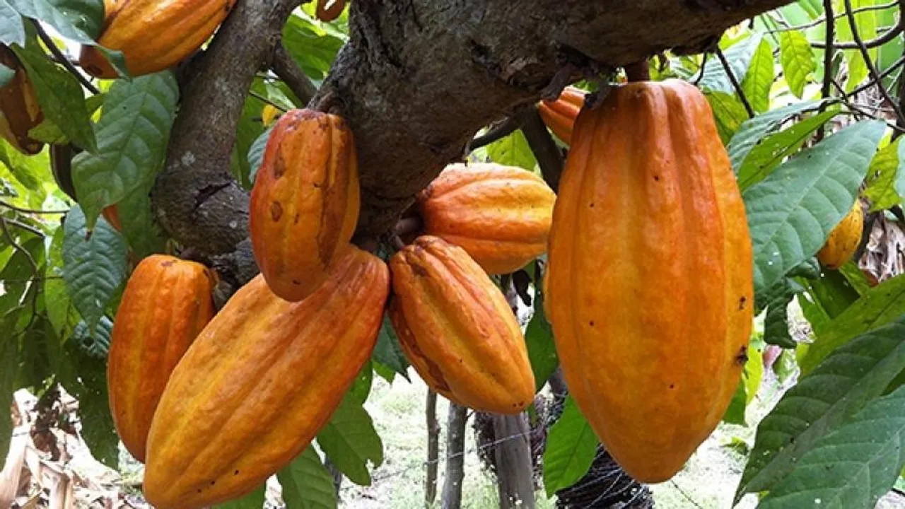 c3921b80-24c8-4086-a9c6-474f255a638c