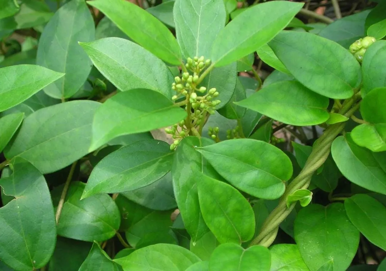 315dbf81-a569-4f07-959f-6b75d53a375d