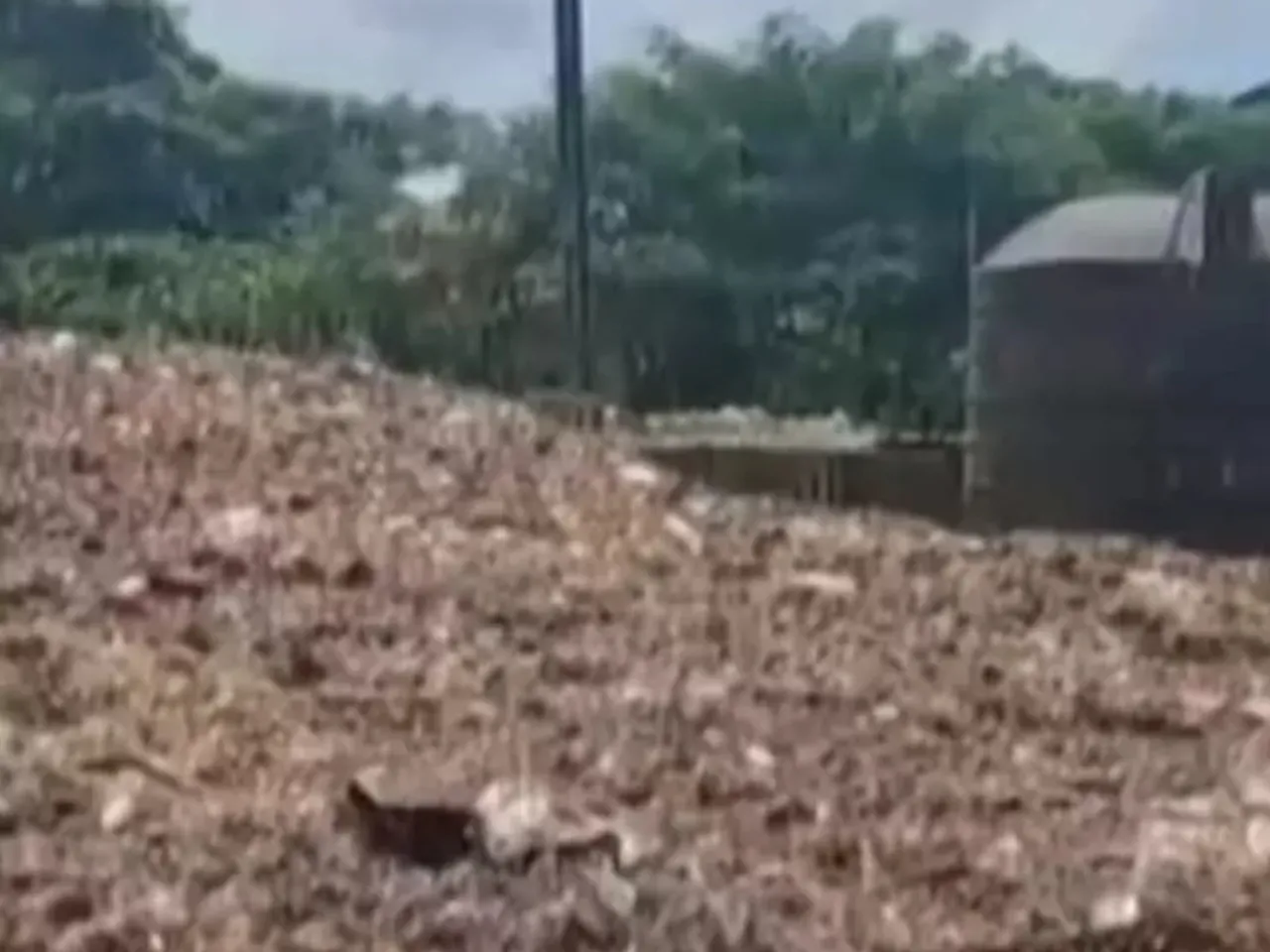 images (1280 x 960 px)(133)