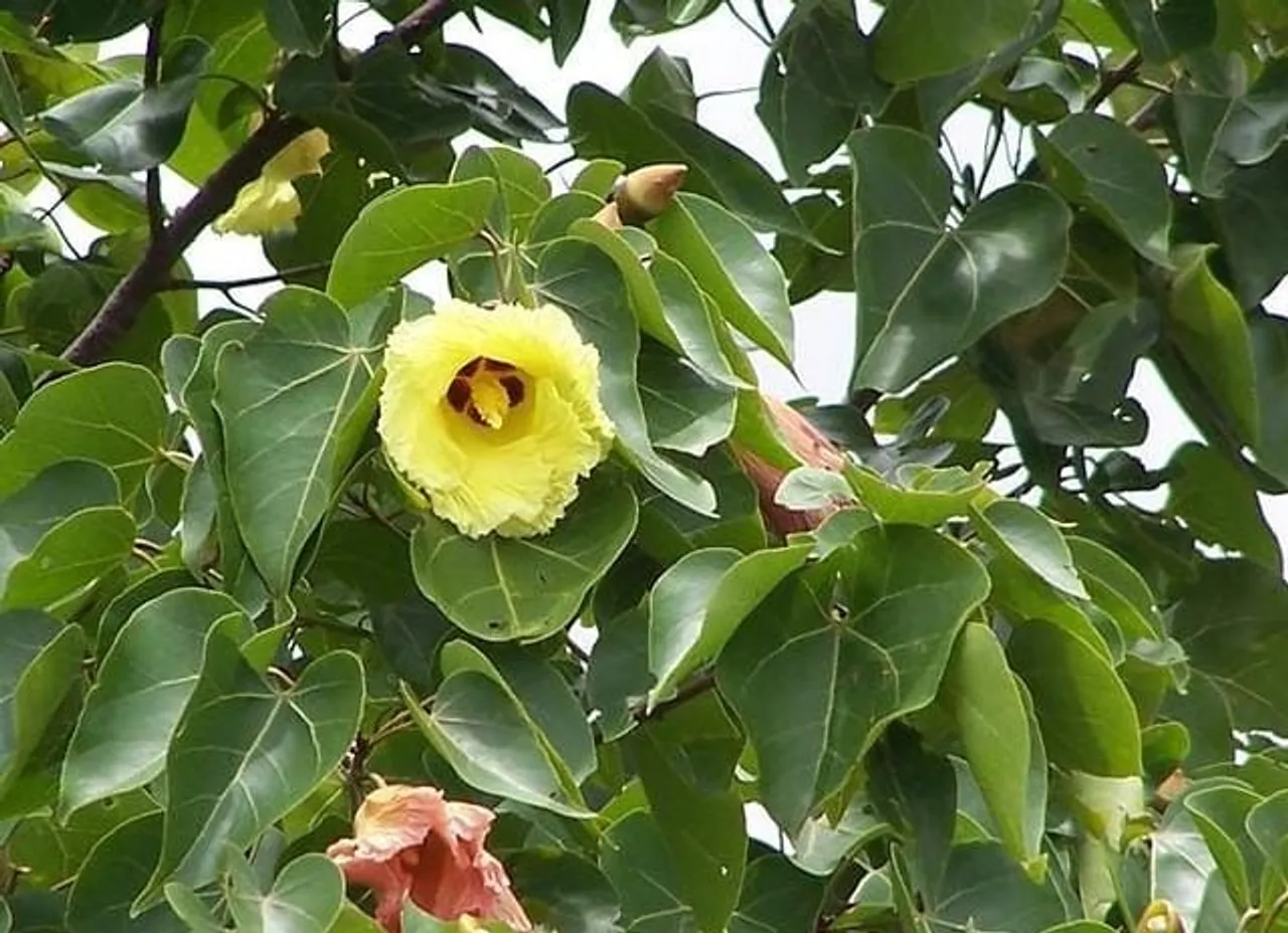 7b9eee95-b222-4221-a970-cc21df2602ea