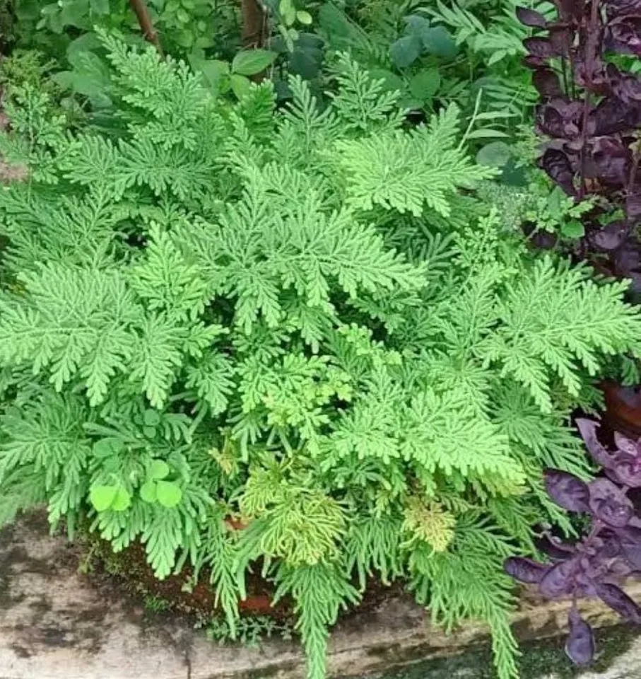 92e60df7-814f-45fc-bb81-b8045bf08ba8