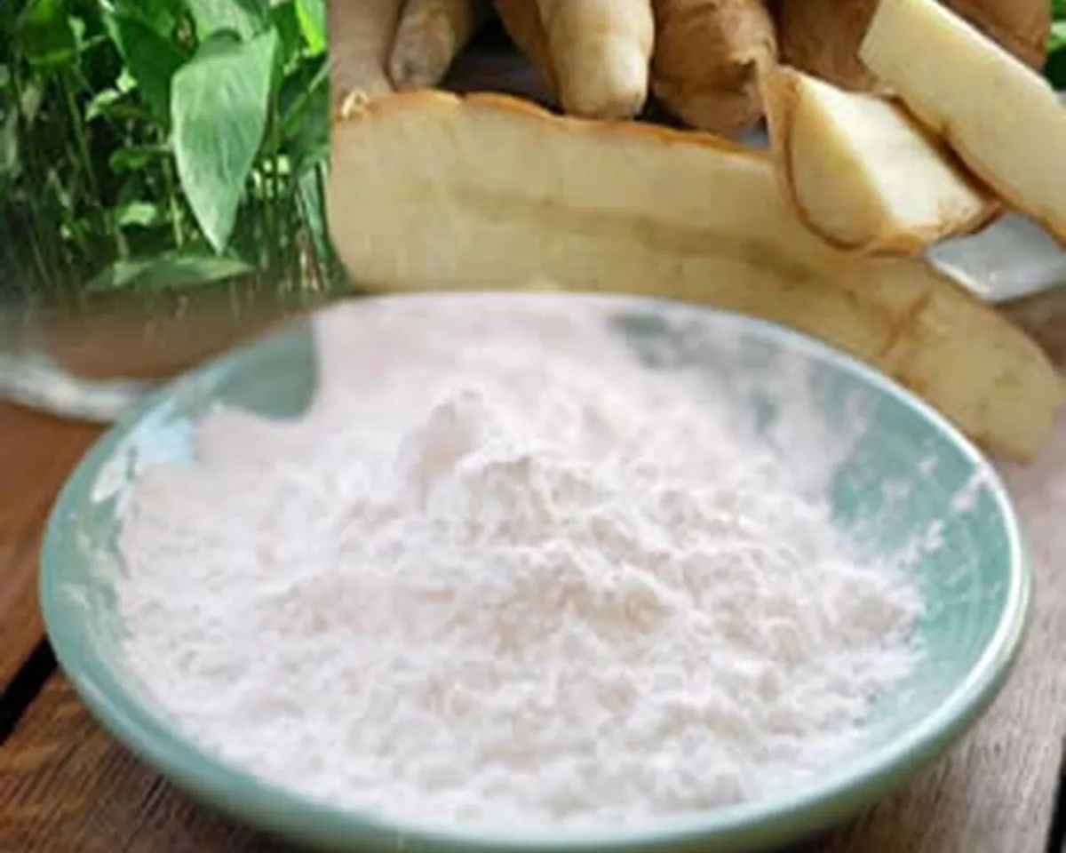 1200px-anacardium_occidentale_ms_4693jfif-4