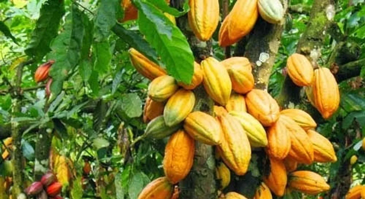 WhatsApp Image 2024-04-03 at 7.56.41 AM