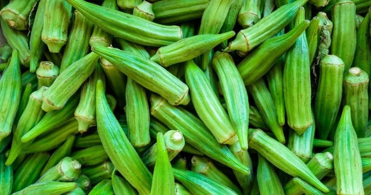 what-is-okra-s-jpg_1200x675xt
