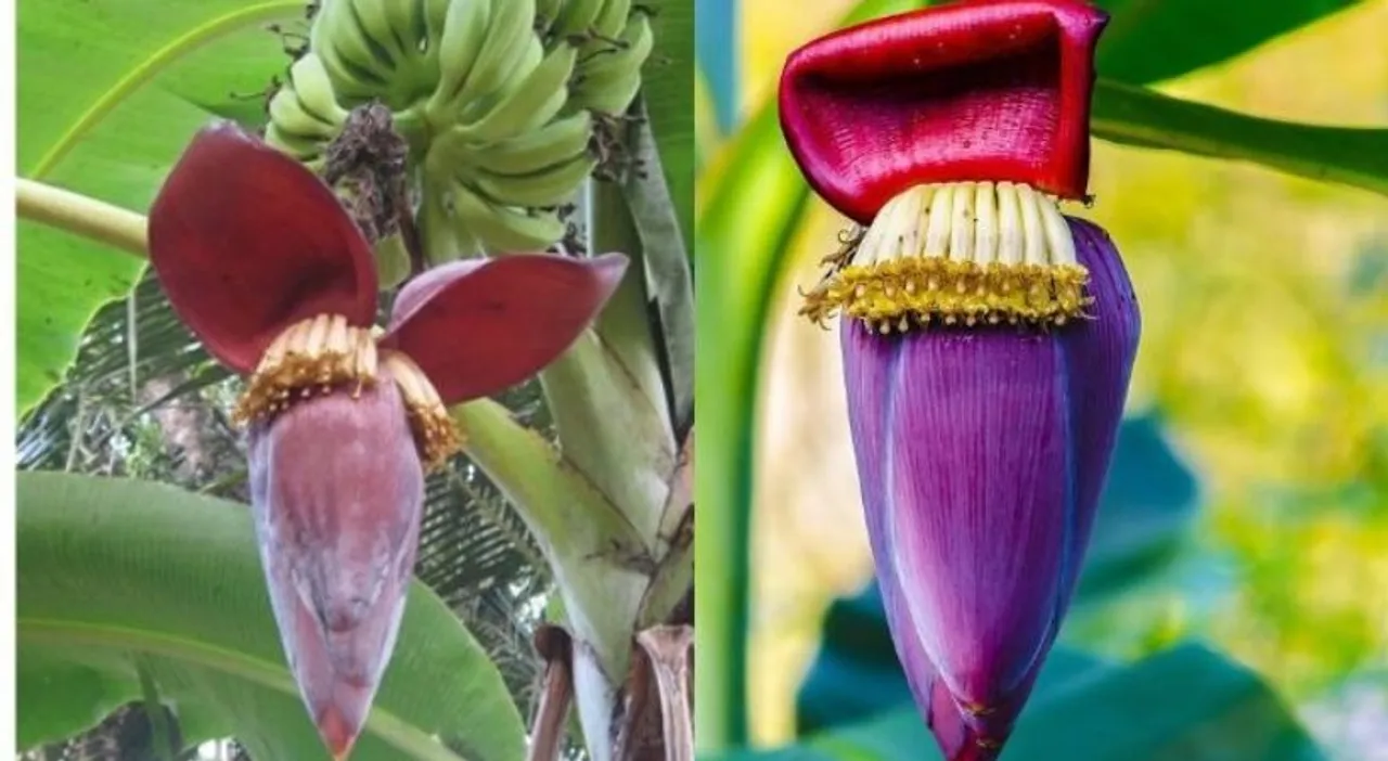 Untitled-design-2023-01-25T161323.200