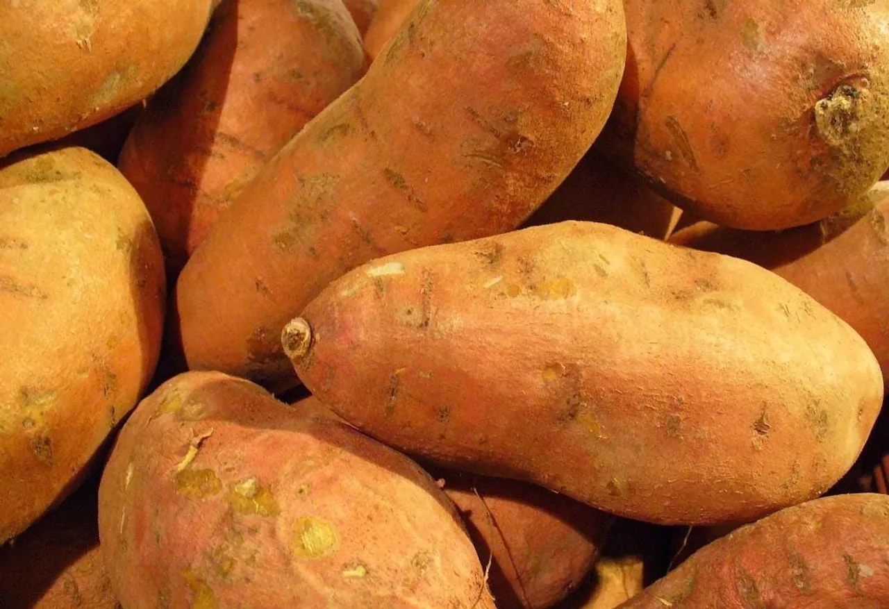 8ca24f42-f0ae-4e0c-8335-7945d9ae0fc5