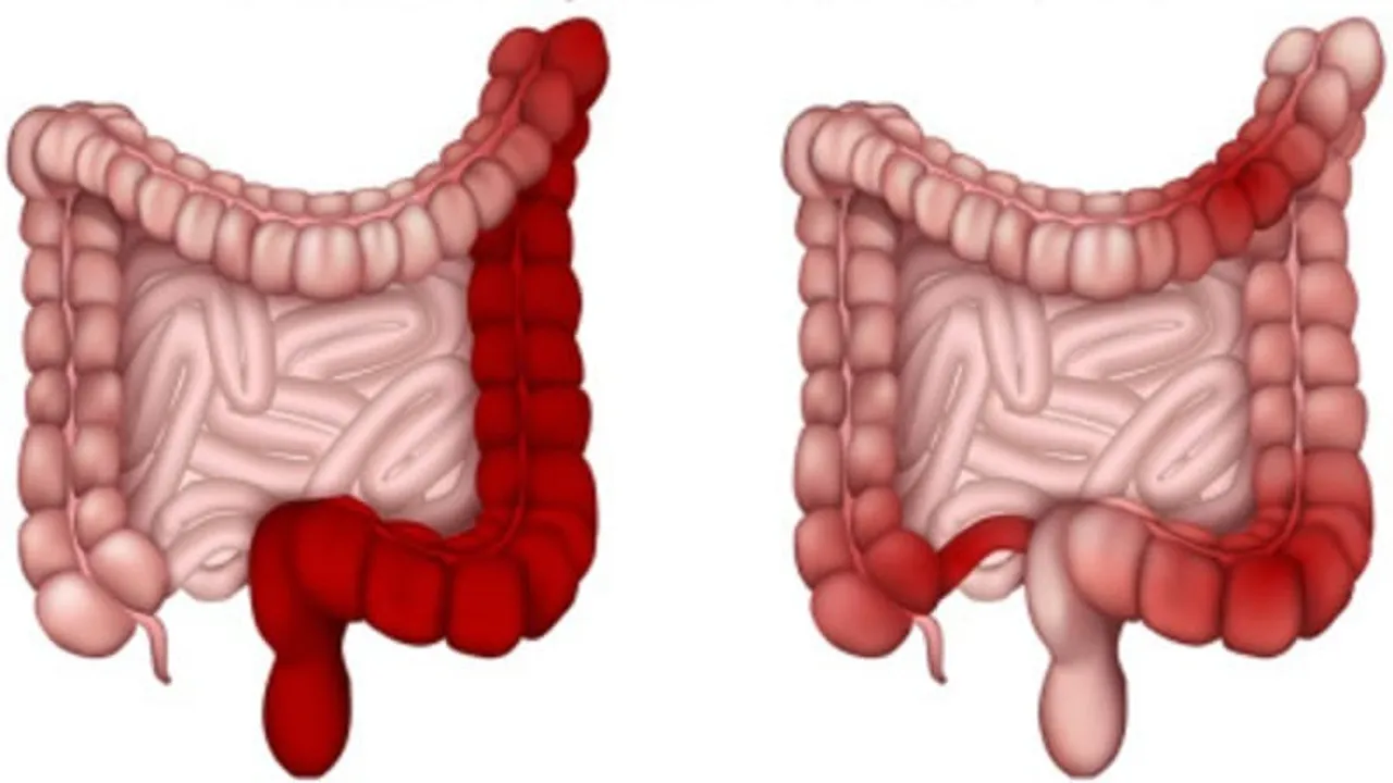 a20d9bb0-4e52-4065-97ce-74e58e2b528e