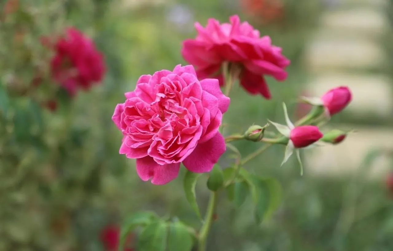 cb23a41c-eb08-415a-b025-35e9621bad5a