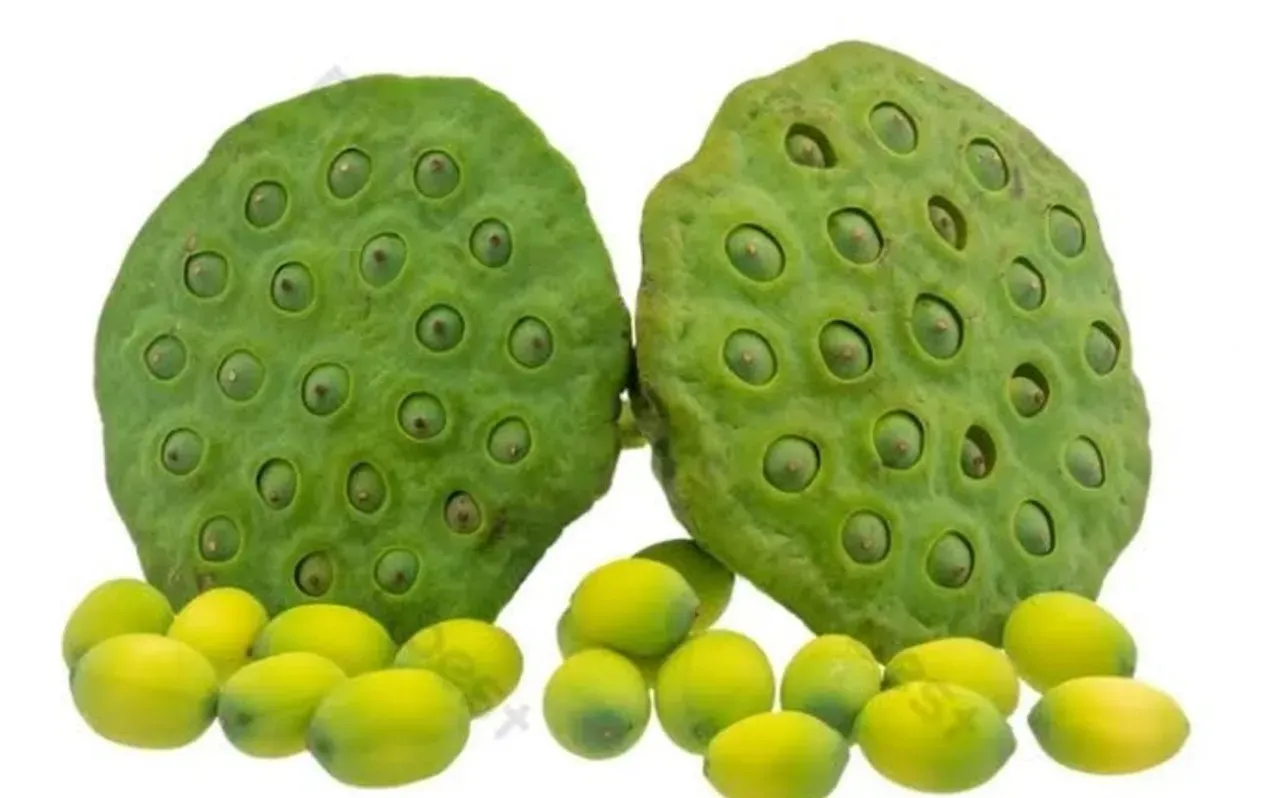 0dbffdfa-a8bf-41bf-a236-fa07895dd4f5-2025-10-10-16-16-12