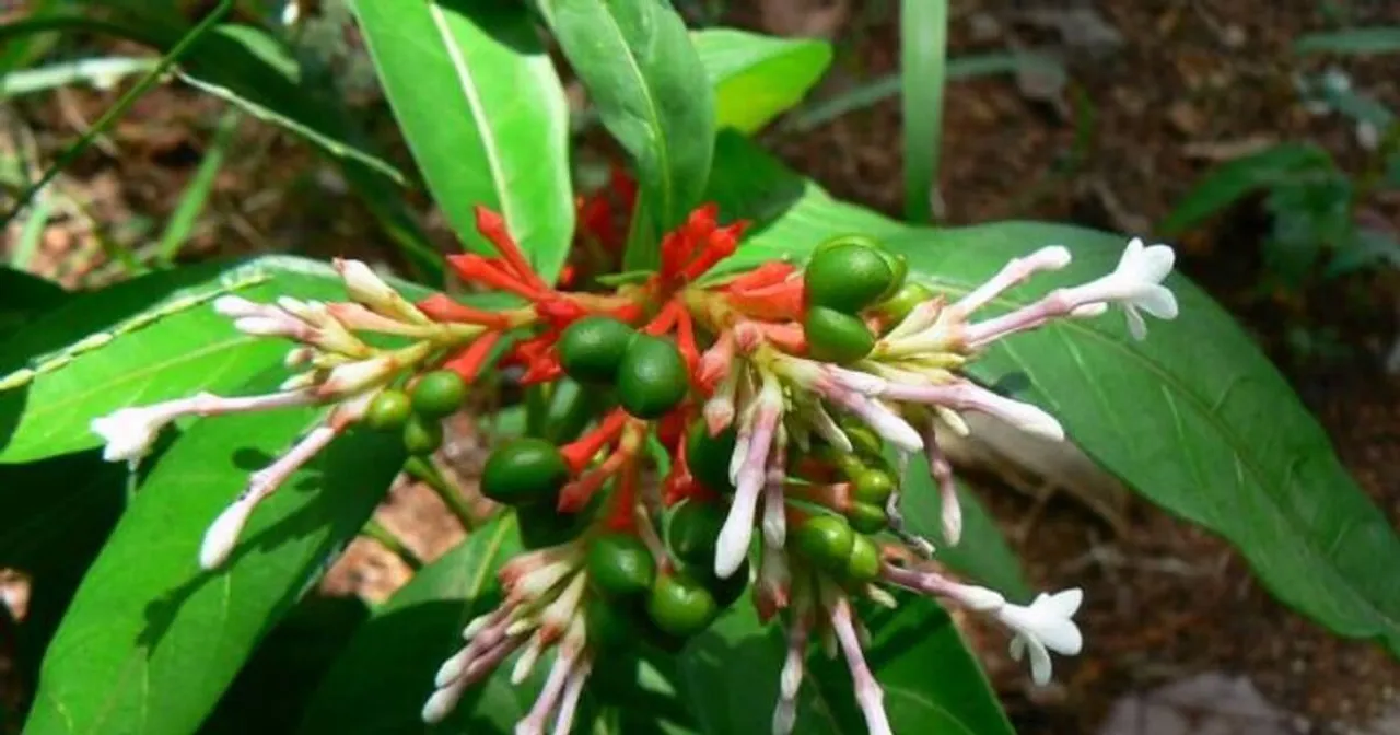 new-project--3--jpg_1200x630xt