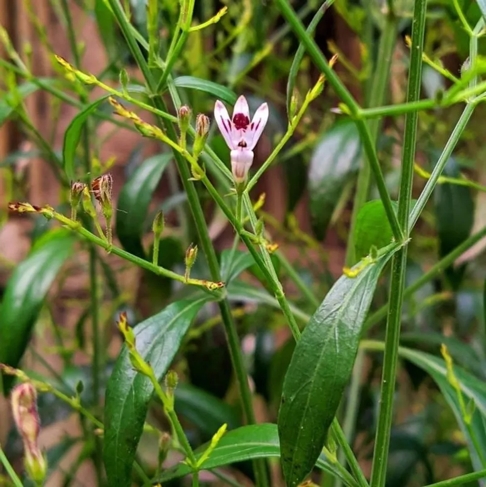 2c6ef5d5-5415-4e74-989c-02b6adc0bff8