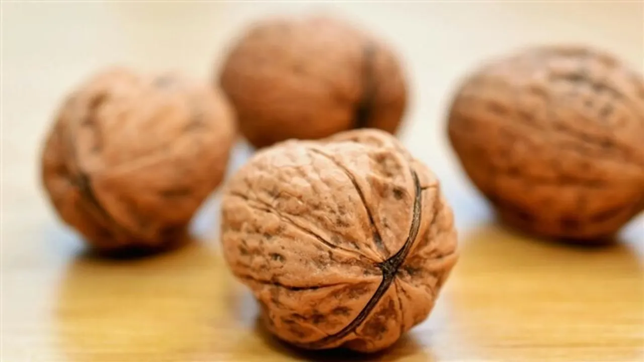 here-is-some-amazing-health-benefits-of-eating-walnuts-in-morning-details-inside_170867675710