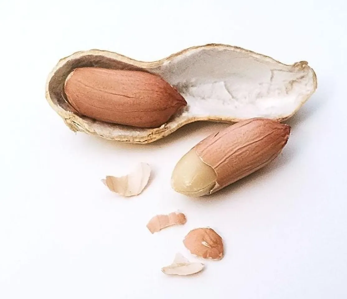 8255df89-237c-44bc-b573-e60fc3fc652e