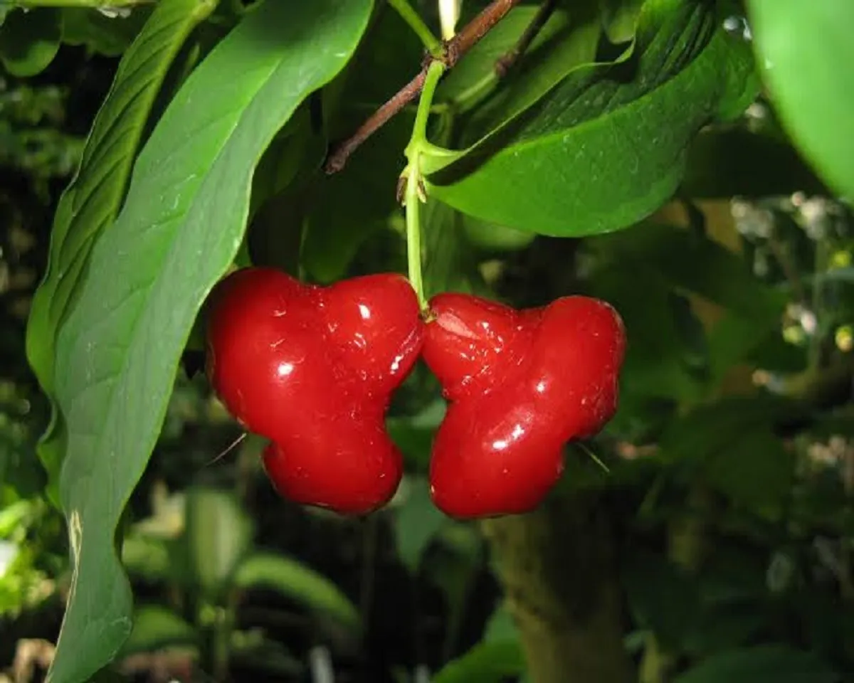 c7bcb780-9b5b-4867-8437-565f5750015b