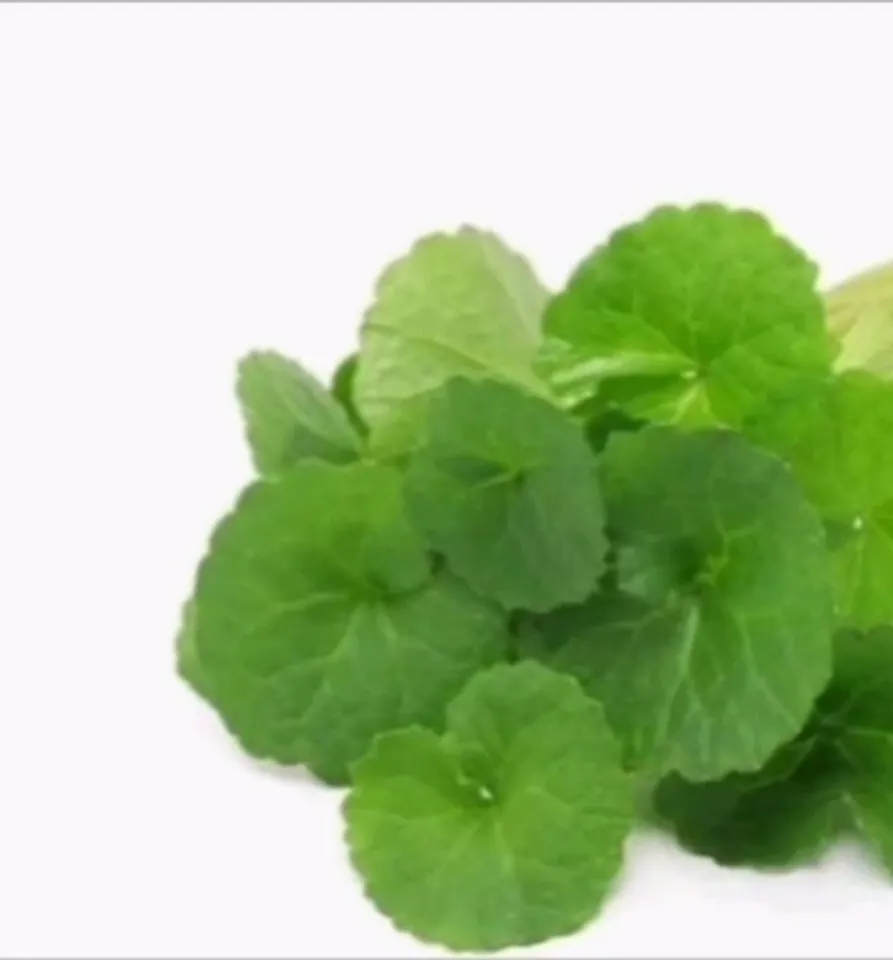 e86b1c7a-5f6e-41c0-aa5f-9642783cede7