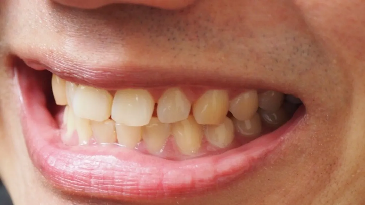 ef280804-4354-48d1-b6fd-c1014a1cf76c