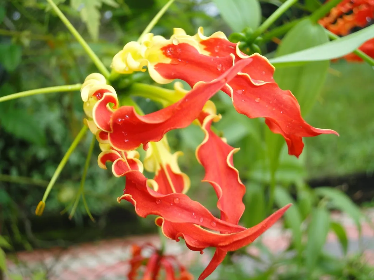 6716312531_1f23bb167e_b