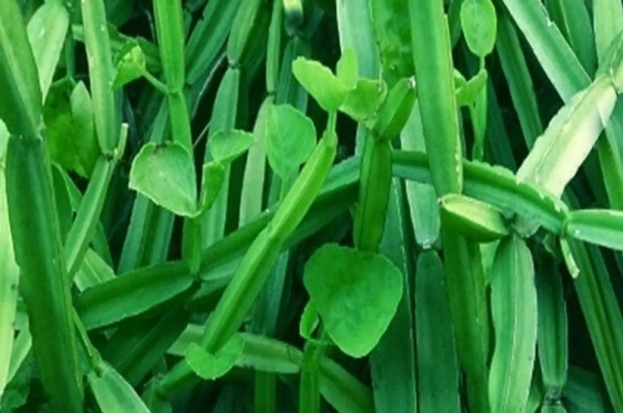 c4f77d26-7df5-4a3f-8e35-813673a6dc1d