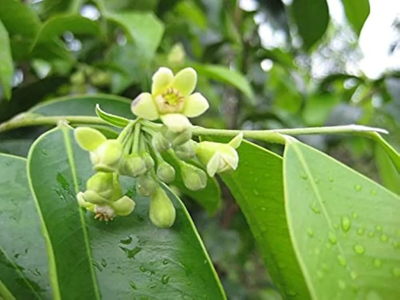 fc56094d-c2bf-4a2f-ad2b-abc804d9c4b5